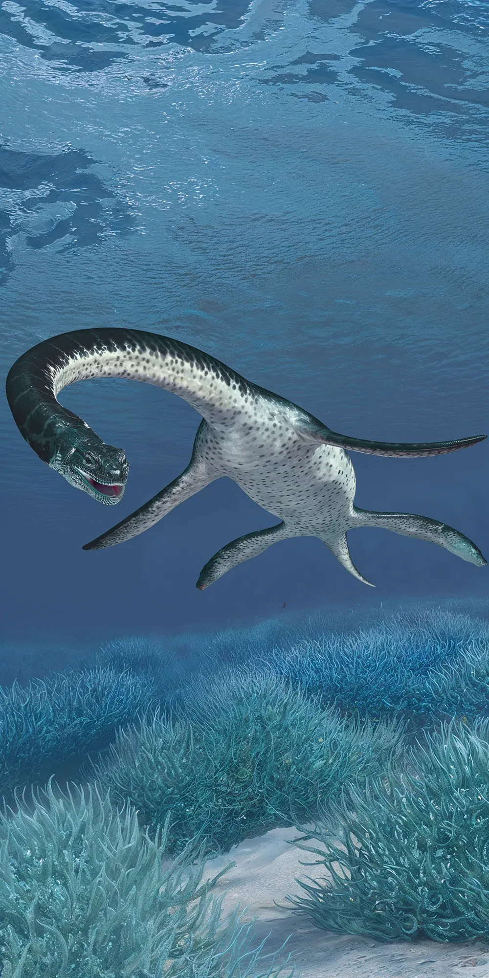 Plesiosaurus - Animal Matchup