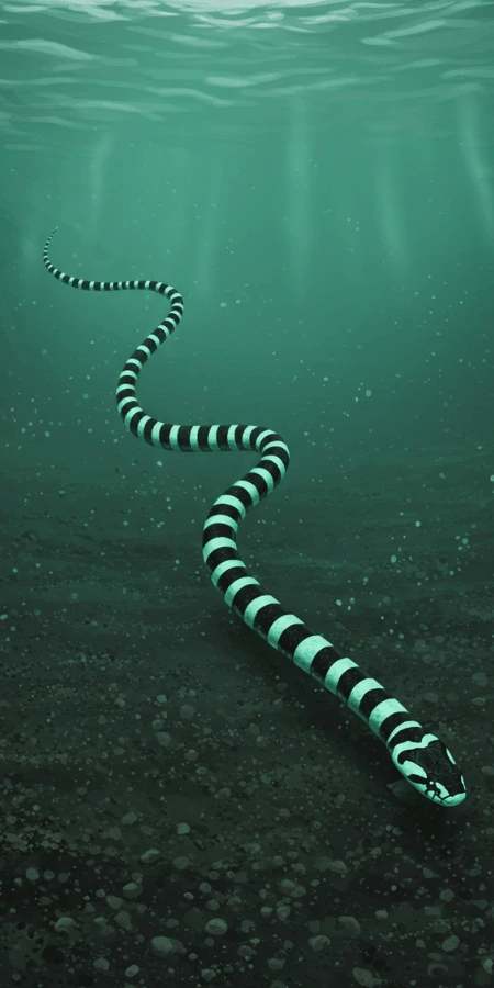 Sea Krait - Animal Matchup