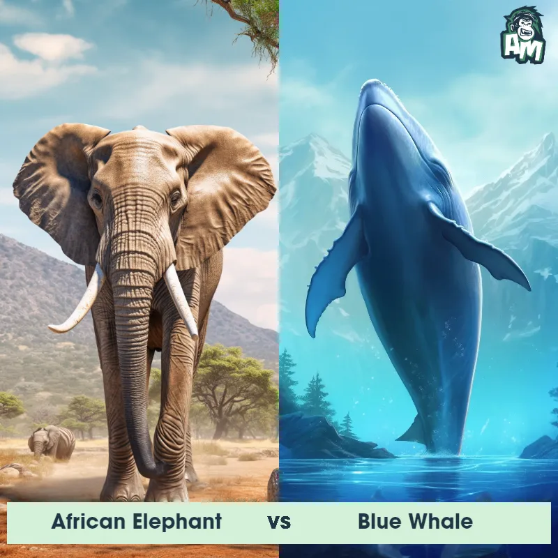 African Elephant vs Blue Whale - Animal Matchup