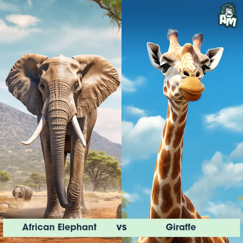 African Elephant vs Giraffe - Animal Matchup