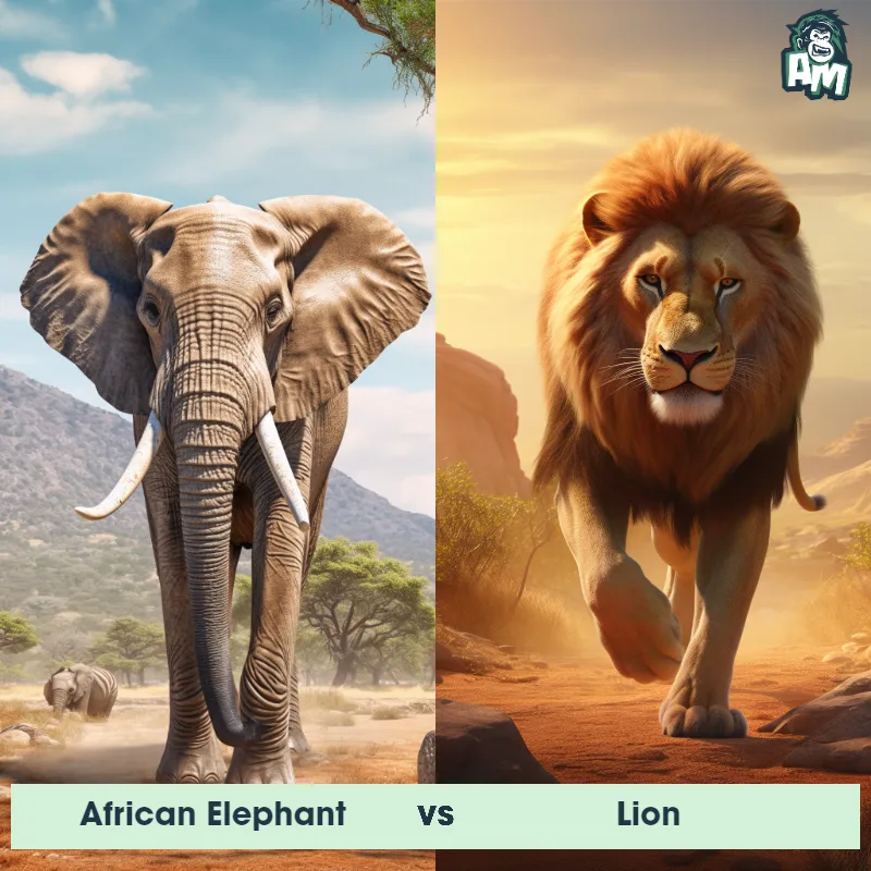 African Elephant vs Lion - Animal Matchup
