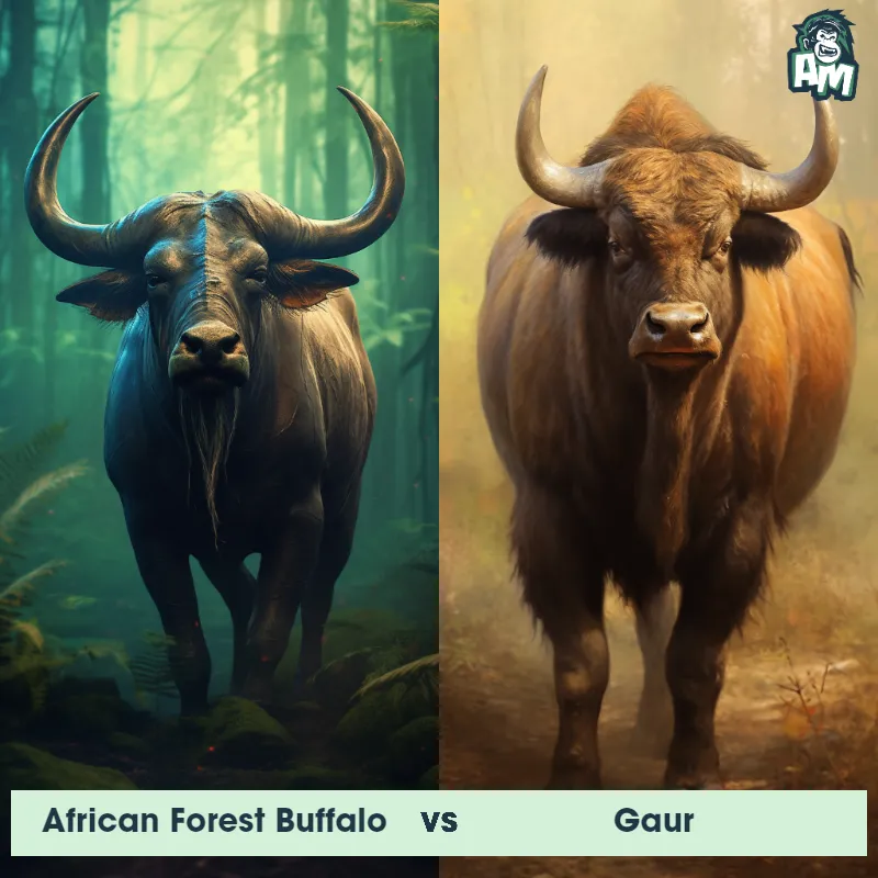 African Forest Buffalo vs Gaur - Animal Matchup