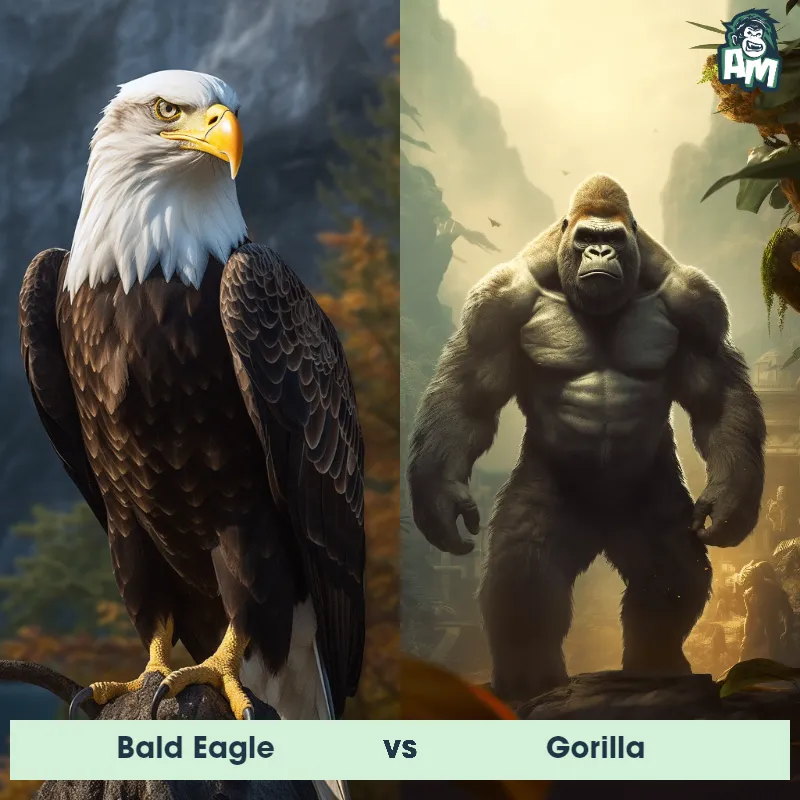 Bald Eagle vs Gorilla - Animal Matchup