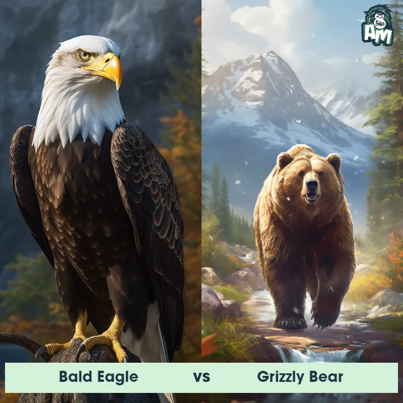 Bald Eagle vs Grizzly Bear - Animal Matchup