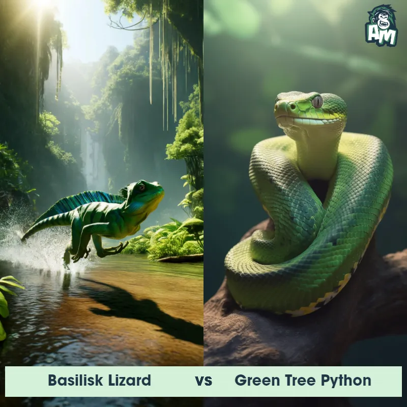 Basilisk Lizard vs Green Tree Python - Animal Matchup