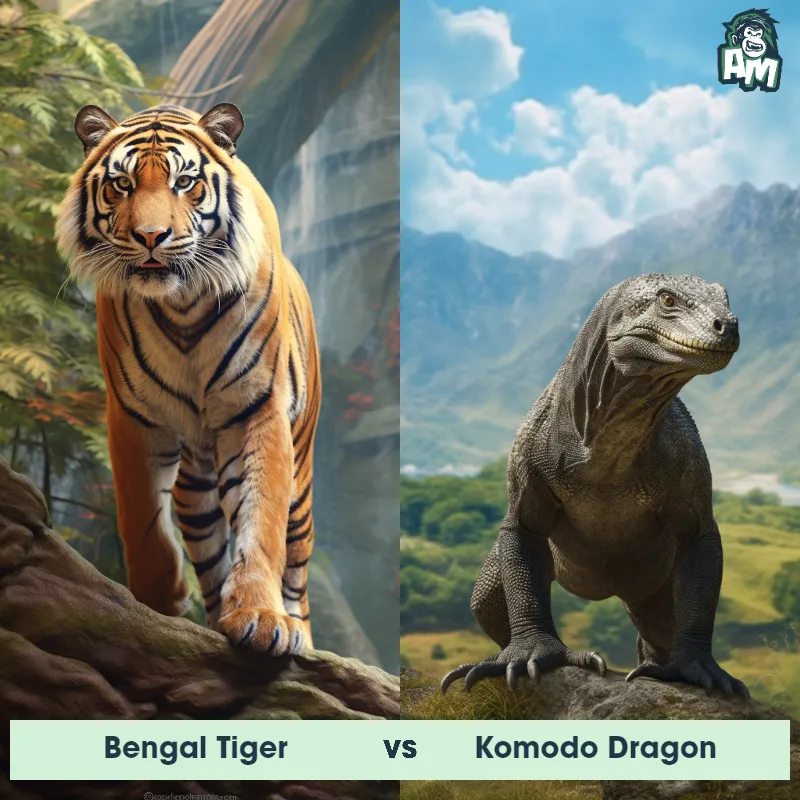 Bengal Tiger vs Komodo Dragon - Animal Matchup