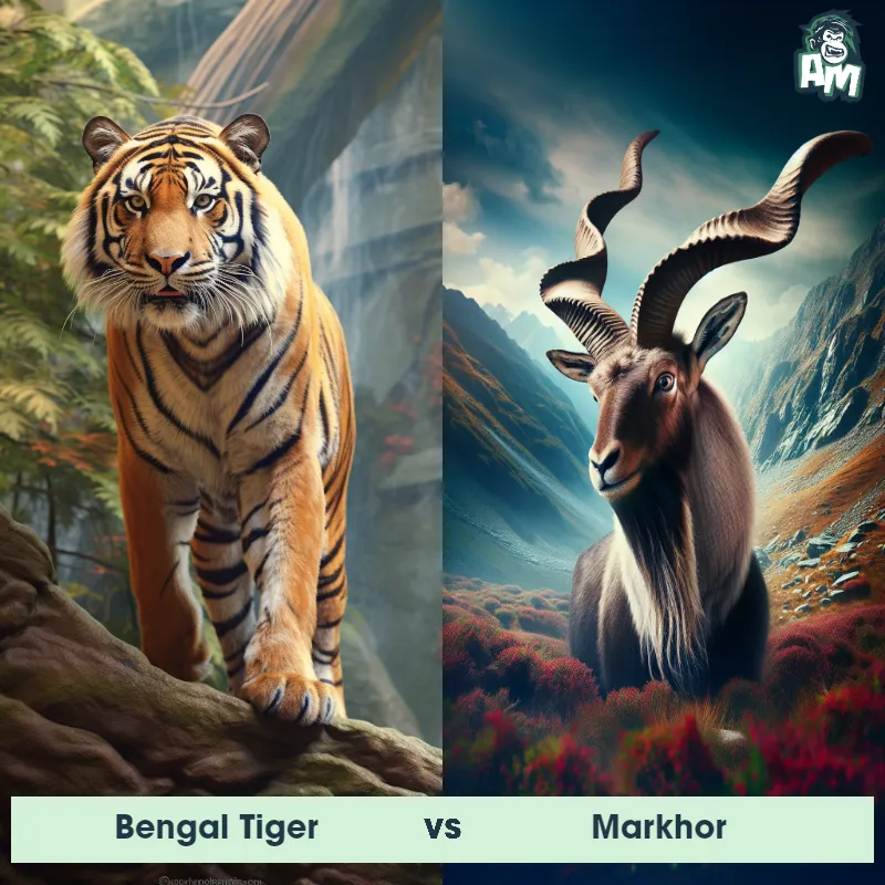 Bengal Tiger vs Markhor - Animal Matchup