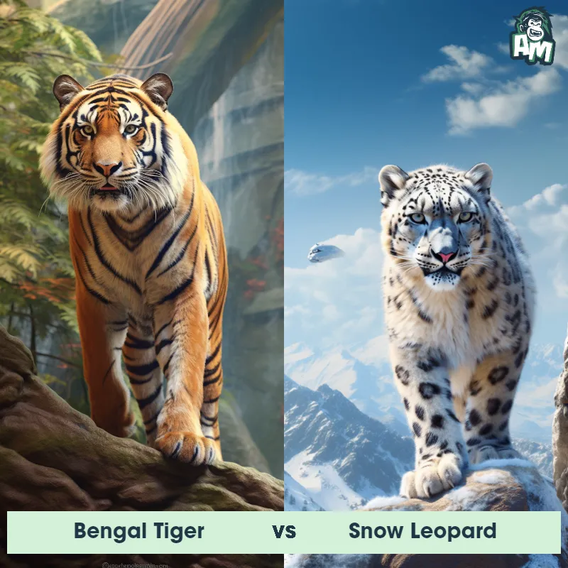 Bengal Tiger vs Snow Leopard - Animal Matchup