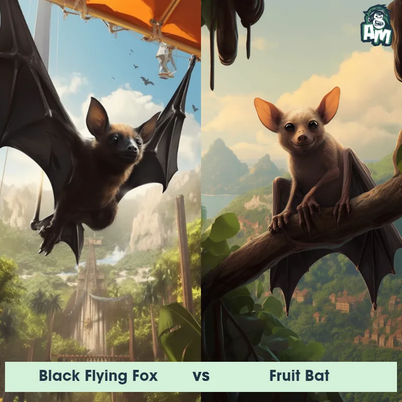 Black Flying Fox vs Fruit Bat - Animal Matchup