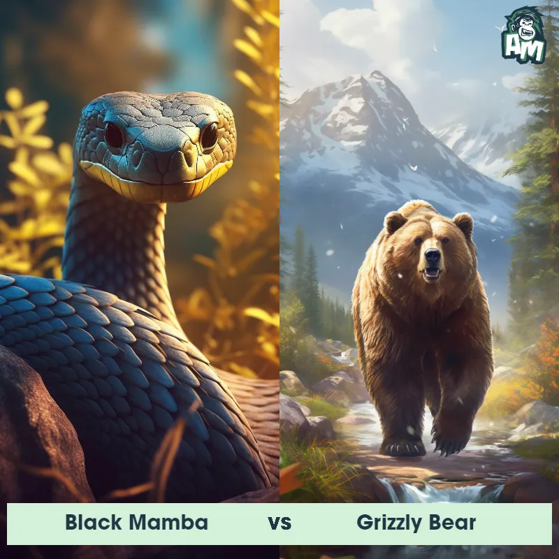 Black Mamba vs Grizzly Bear - Animal Matchup