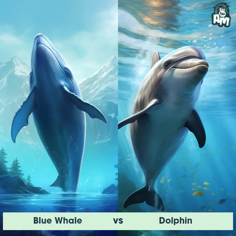 Blue Whale vs Dolphin - Animal Matchup
