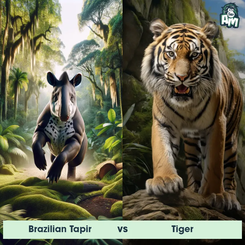 Brazilian Tapir vs Tiger - Animal Matchup