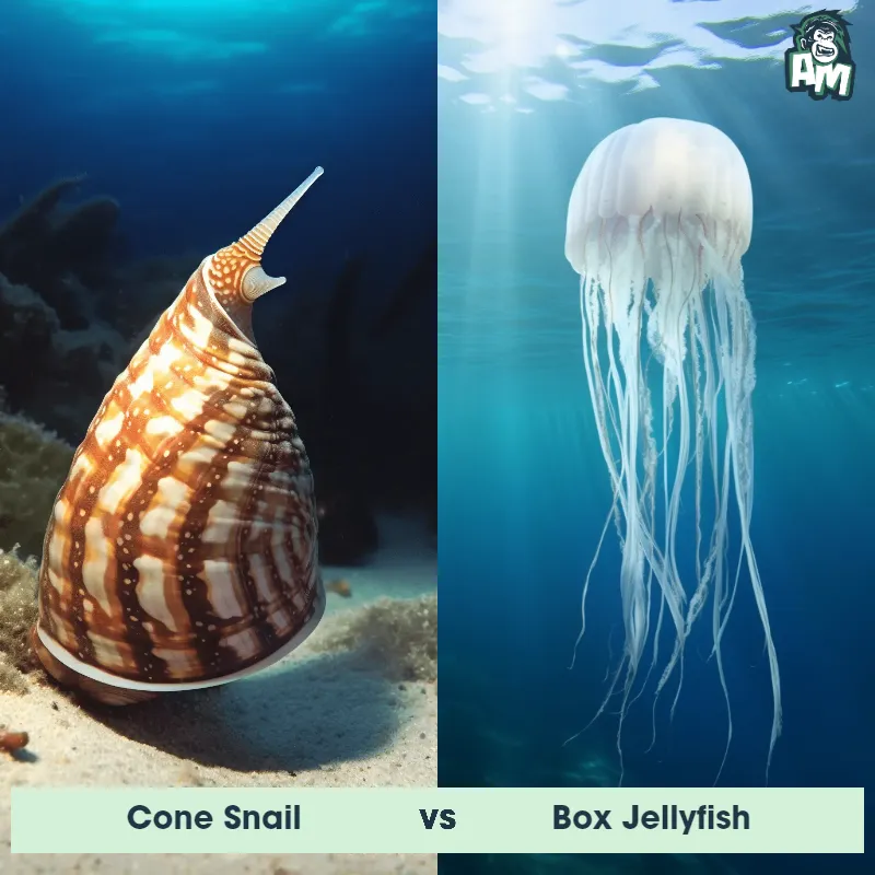 Cone Snail vs Box Jellyfish - Animal Matchup