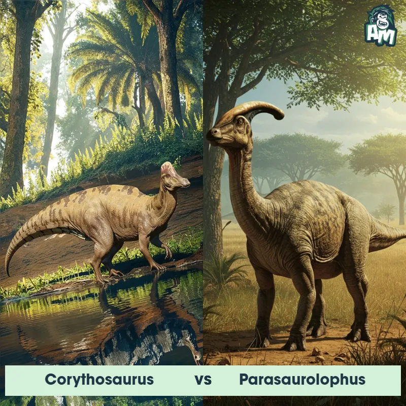 Corythosaurus vs Parasaurolophus - Animal Matchup