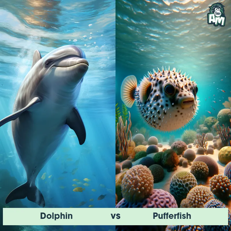 Dolphin vs Pufferfish - Animal Matchup