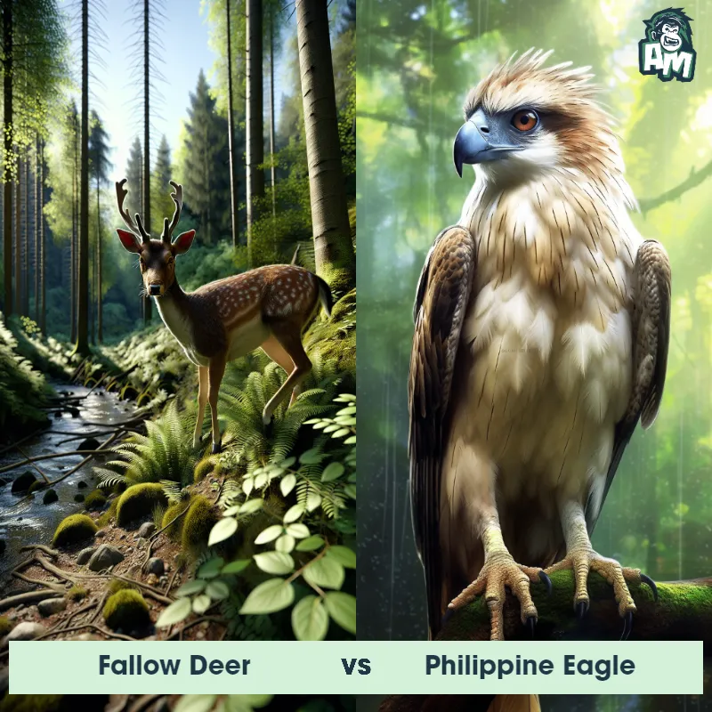 Fallow Deer vs Philippine Eagle - Animal Matchup