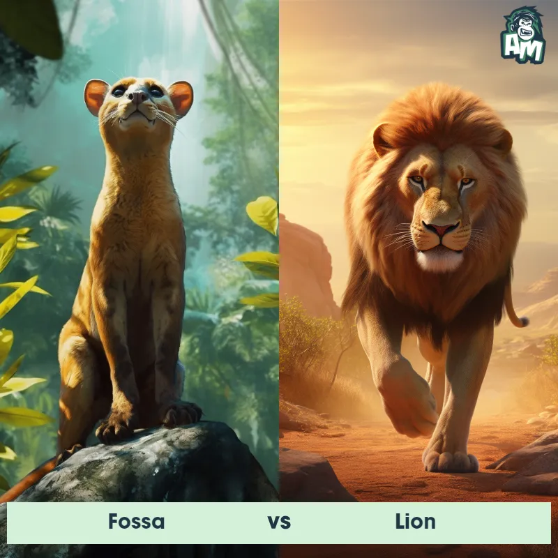 Fossa vs Lion - Animal Matchup