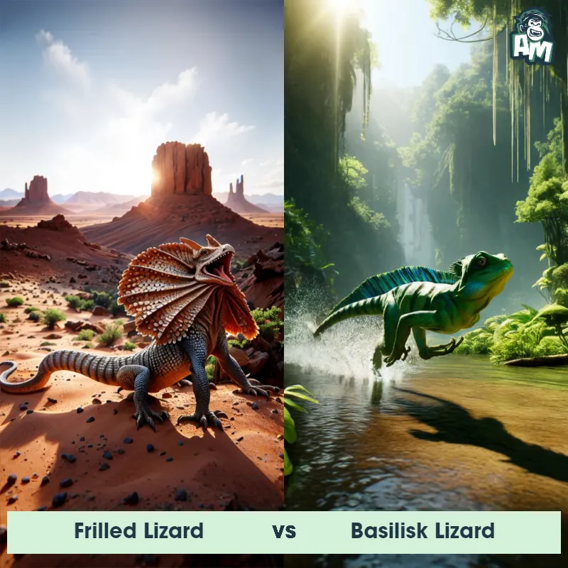 Frilled Lizard vs Basilisk Lizard - Animal Matchup