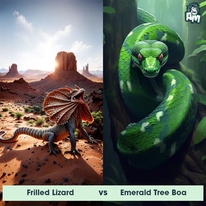 Frilled Lizard vs Emerald Tree Boa - Animal Matchup