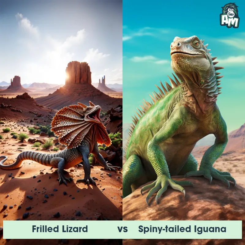 Frilled Lizard vs Spiny-tailed Iguana - Animal Matchup