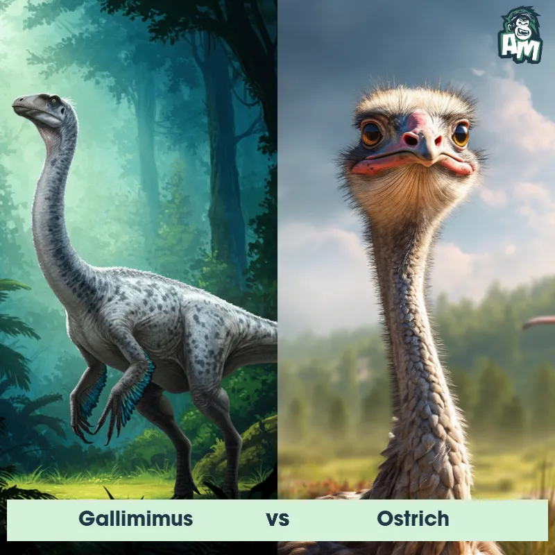 Gallimimus vs Ostrich - Animal Matchup