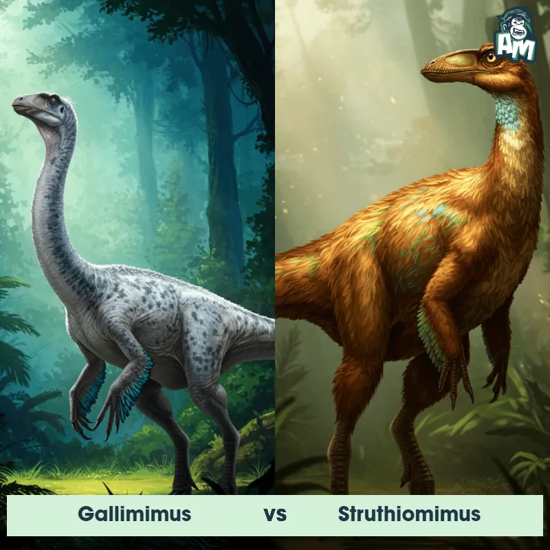 Gallimimus vs Struthiomimus - Animal Matchup