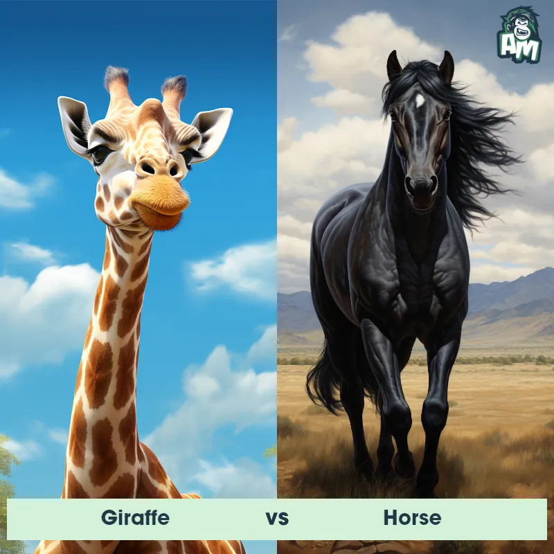 Giraffe vs Horse - Animal Matchup