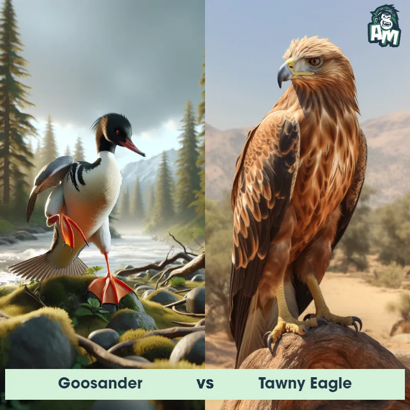 Goosander vs Tawny Eagle - Animal Matchup