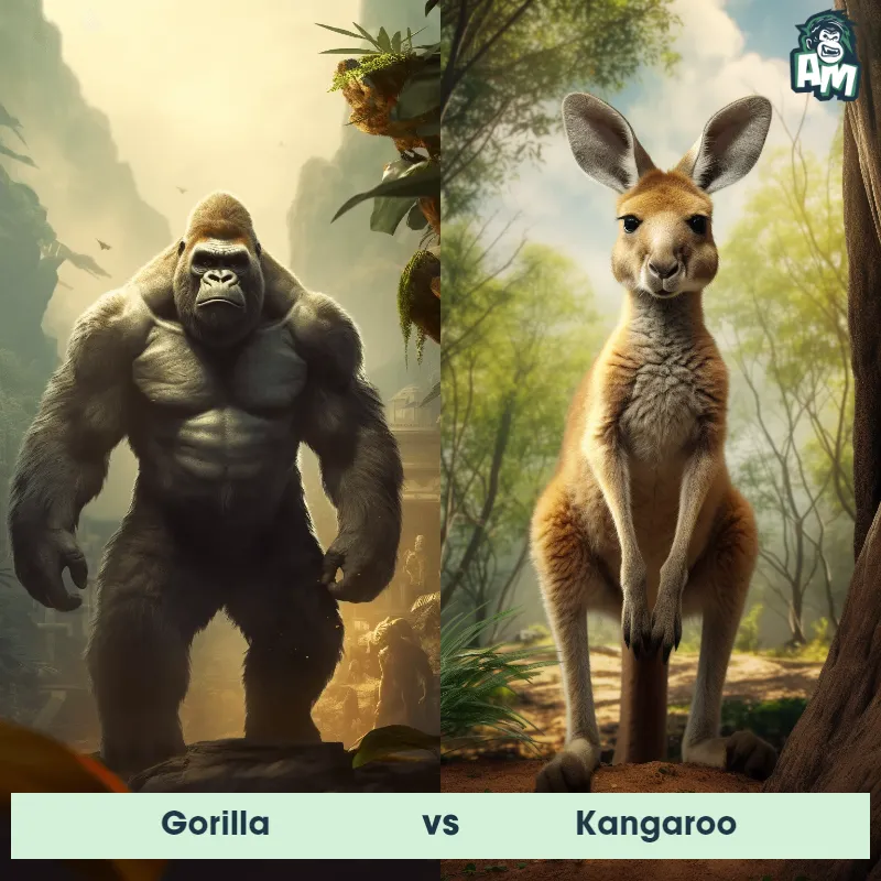 Gorilla vs Kangaroo - Animal Matchup