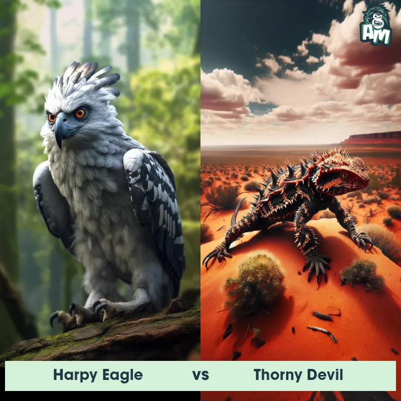 Harpy Eagle vs Thorny Devil - Animal Matchup