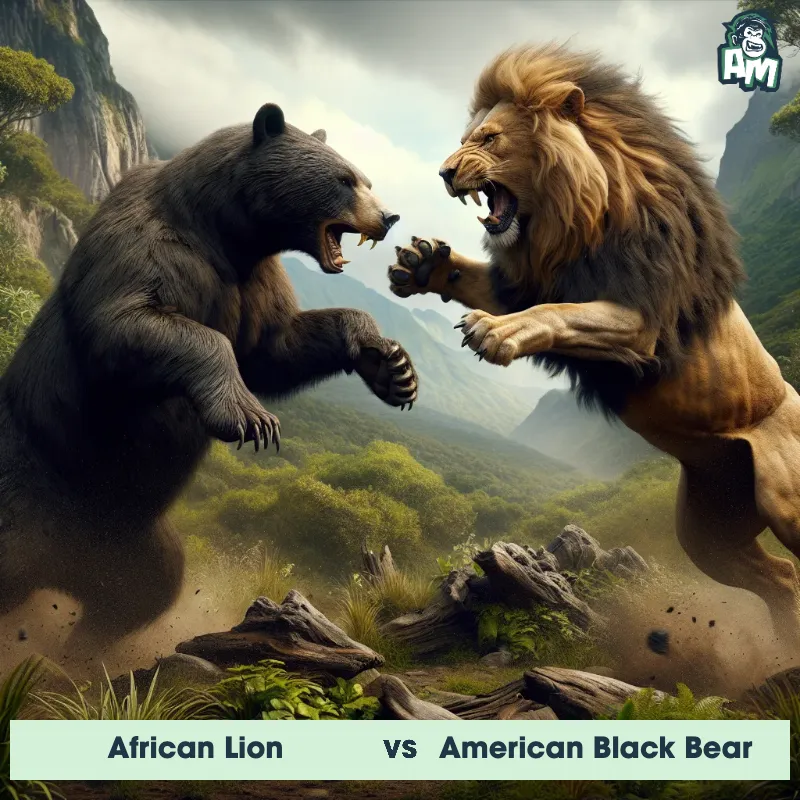 African Lion vs American Black Bear, Battle, African Lion On The Offense - Animal Matchup