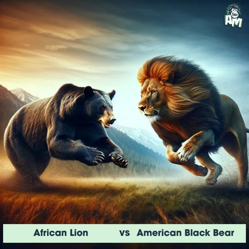 African Lion vs American Black Bear, Race, American Black Bear On The Offense - Animal Matchup