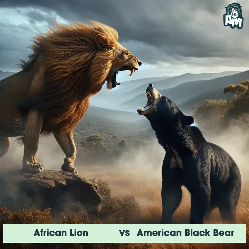 African Lion vs American Black Bear, Screaming, African Lion On The Offense - Animal Matchup