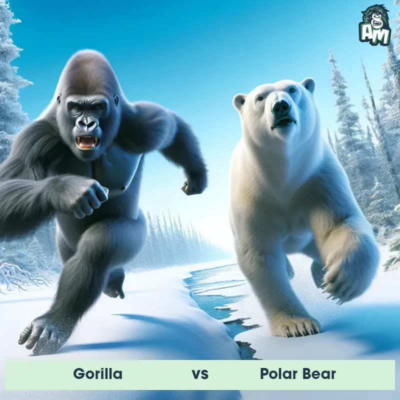 Gorilla vs Polar Bear, Chase, Gorilla On The Offense - Animal Matchup