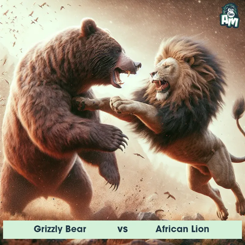 Grizzly Bear vs African Lion, Battle, Grizzly Bear On The Offense - Animal Matchup