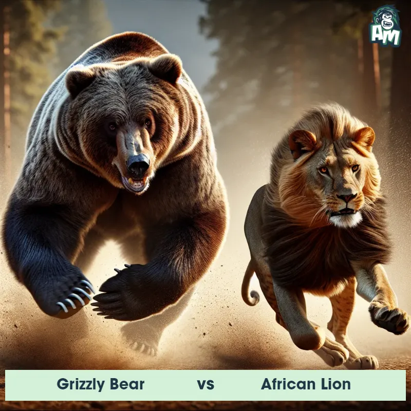 Grizzly Bear vs African Lion, Chase, Grizzly Bear On The Offense - Animal Matchup