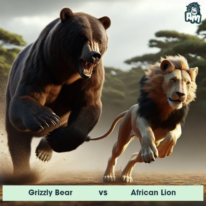 Grizzly Bear vs African Lion, Race, Grizzly Bear On The Offense - Animal Matchup