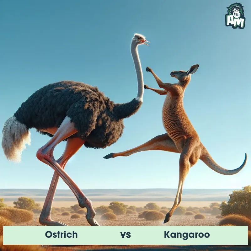 Ostrich vs Kangaroo, Karate, Ostrich On The Offense - Animal Matchup