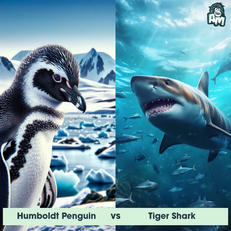 Humboldt Penguin vs Tiger Shark - Animal Matchup