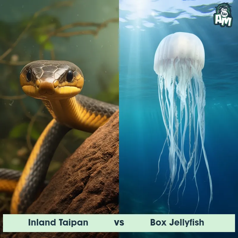 Inland Taipan vs Box Jellyfish - Animal Matchup