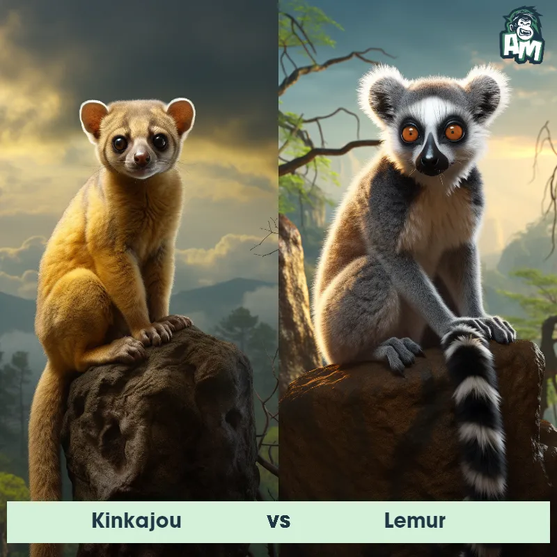 Kinkajou vs Lemur - Animal Matchup