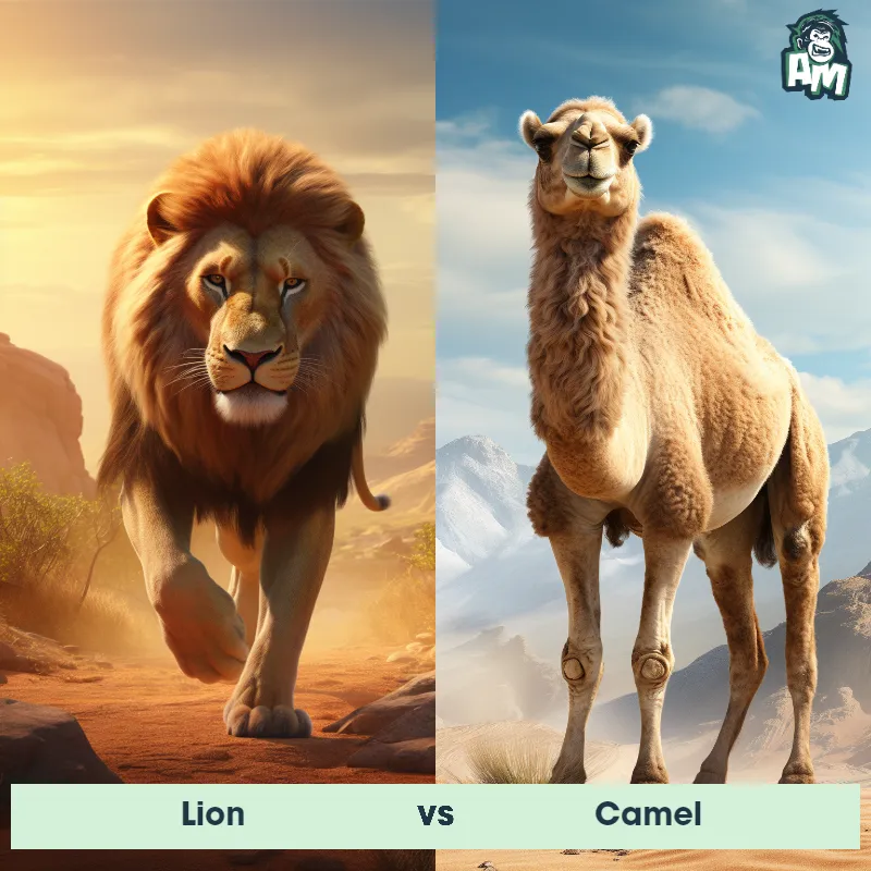 Lion vs Camel - Animal Matchup