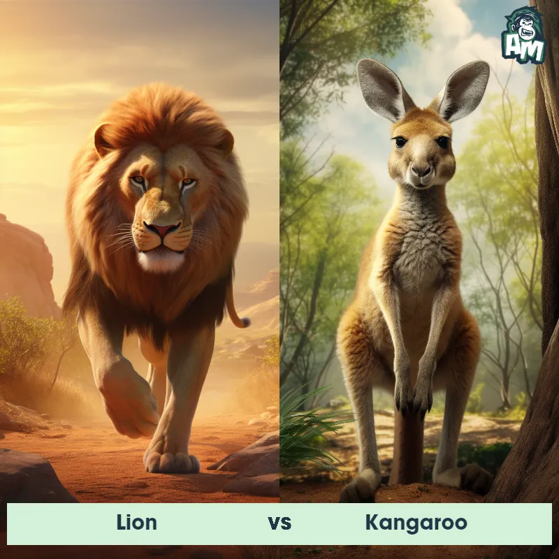 Lion vs Kangaroo - Animal Matchup