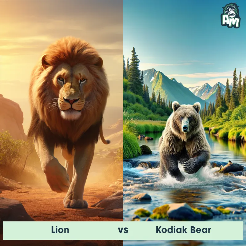 Lion vs Kodiak Bear - Animal Matchup