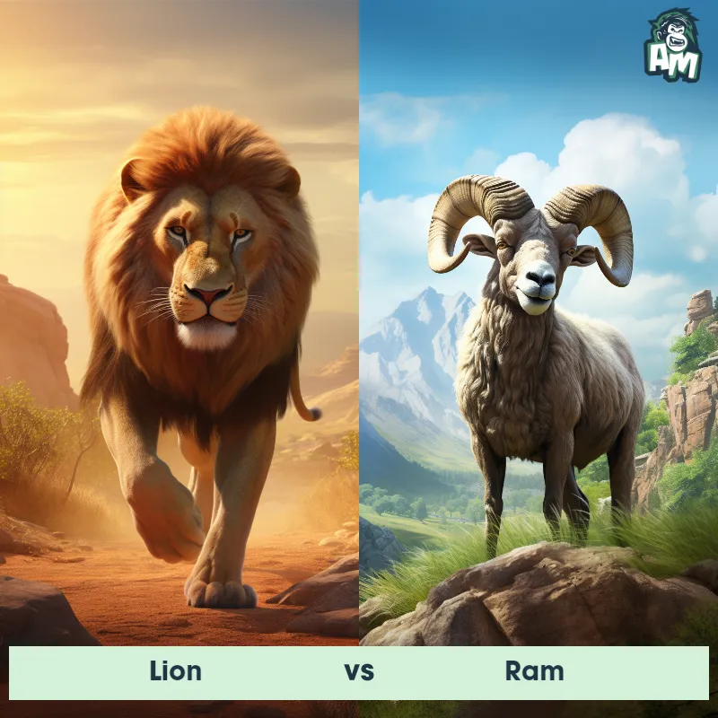 Lion vs Ram - Animal Matchup