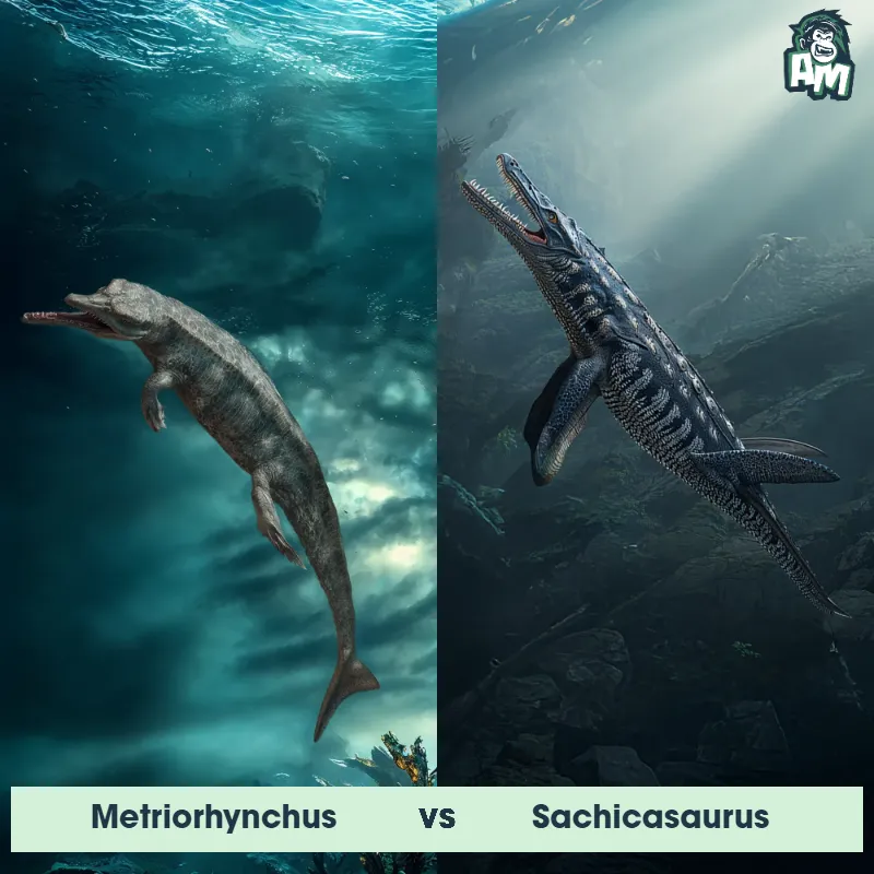 Metriorhynchus vs Sachicasaurus - Animal Matchup