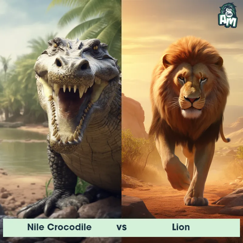 Nile Crocodile vs Lion - Animal Matchup