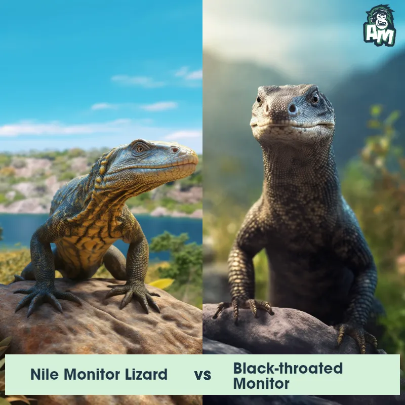 World s Most Dangerous Reptiles Animal Matchup
