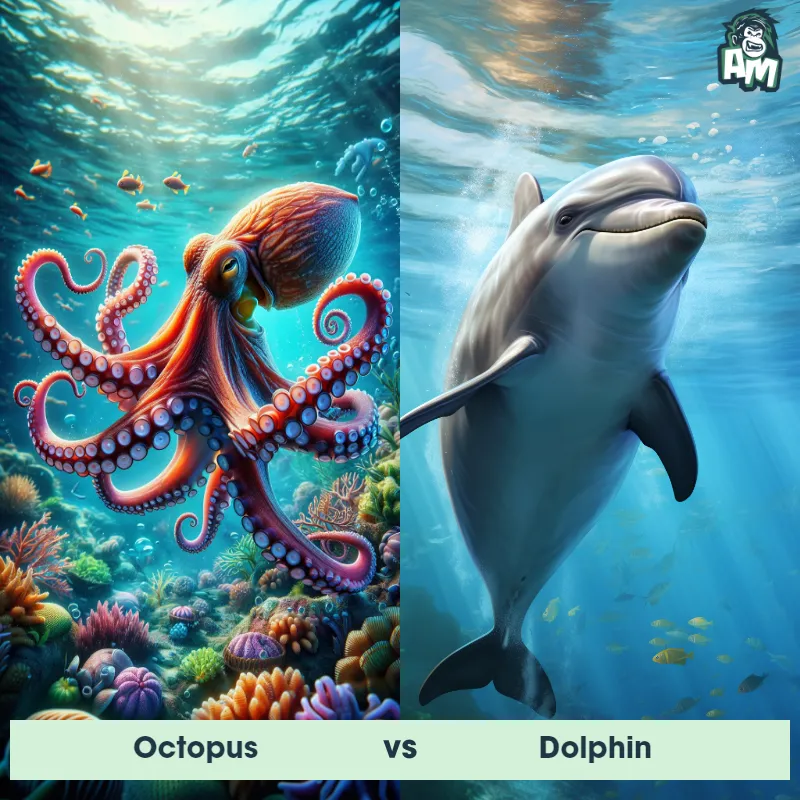 Octopus vs Dolphin - Animal Matchup