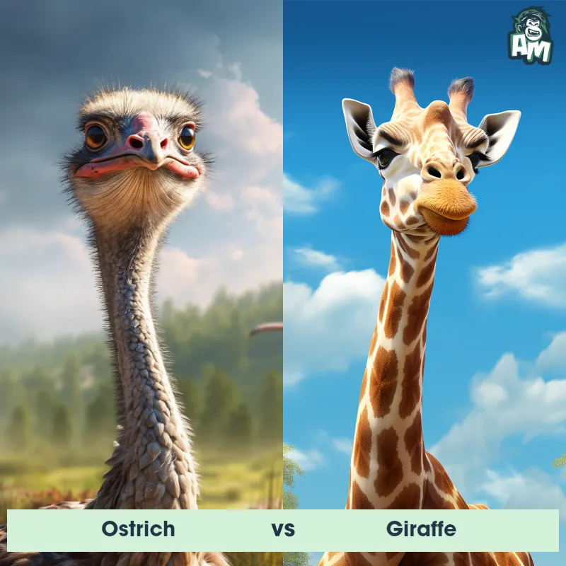 Ostrich vs Giraffe - Animal Matchup